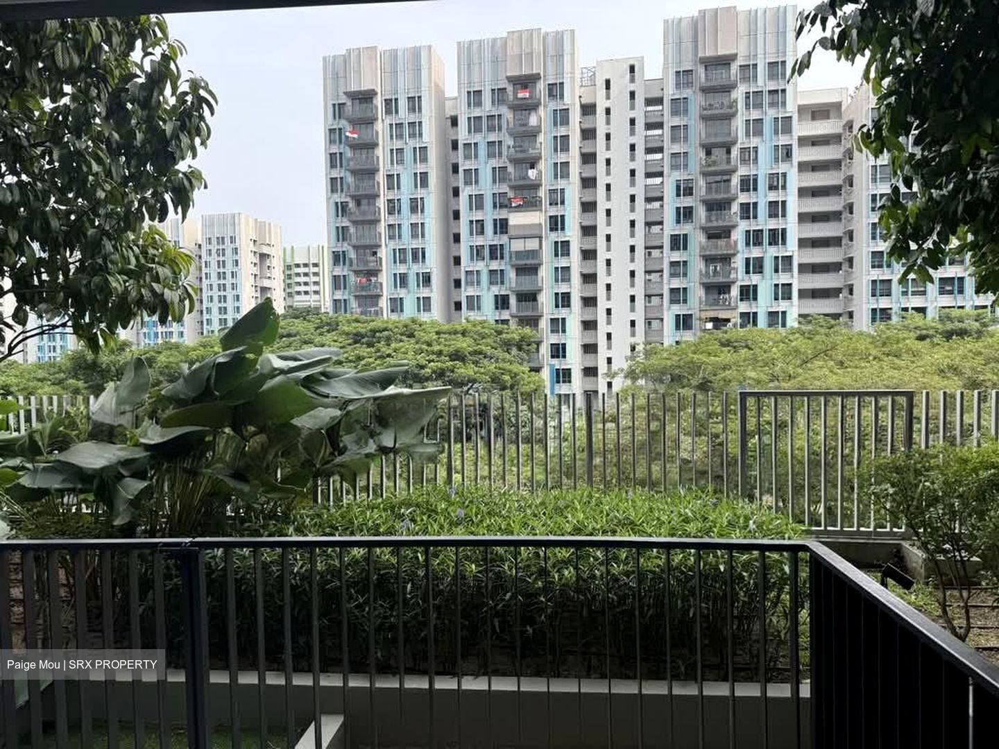 Bidadari Park Drive (D13), Apartment #599704961